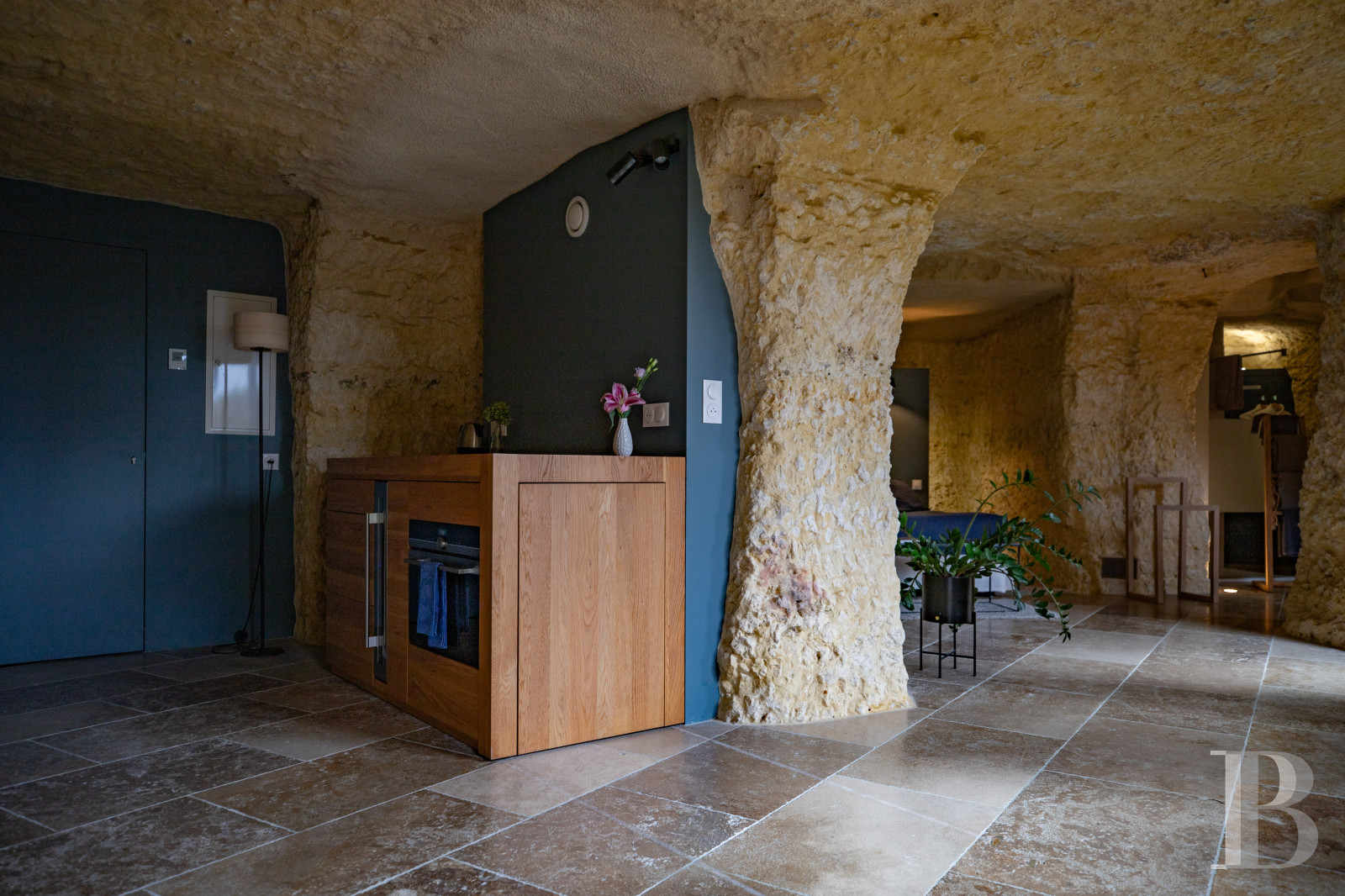 En Indre-et-Loire, sur les hauteurs d’un village, près d’Amboise, un château et son hameau en bordure de forêt - photo  n°44